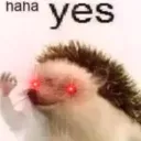 Haha Yes